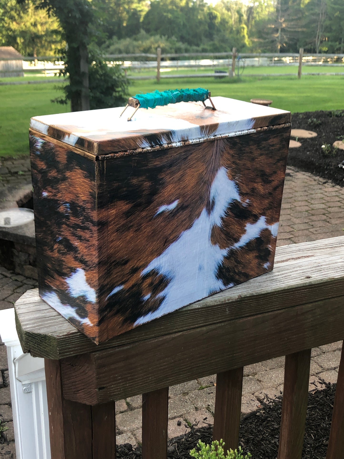 Cowgirl File Cabinet