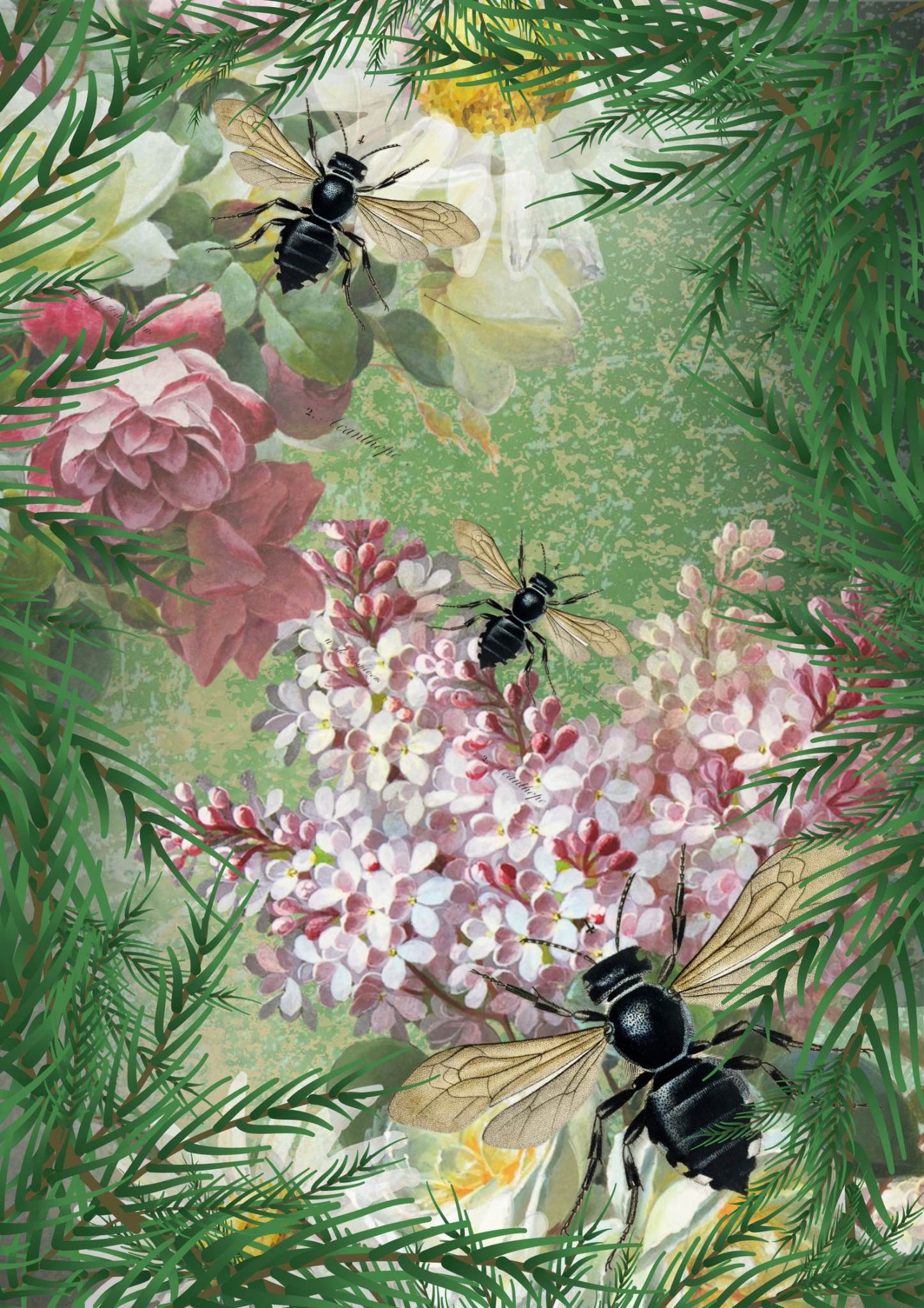 SHOE FLY, Made by Marley, Decoupage Papers, Set of 3 Sheets