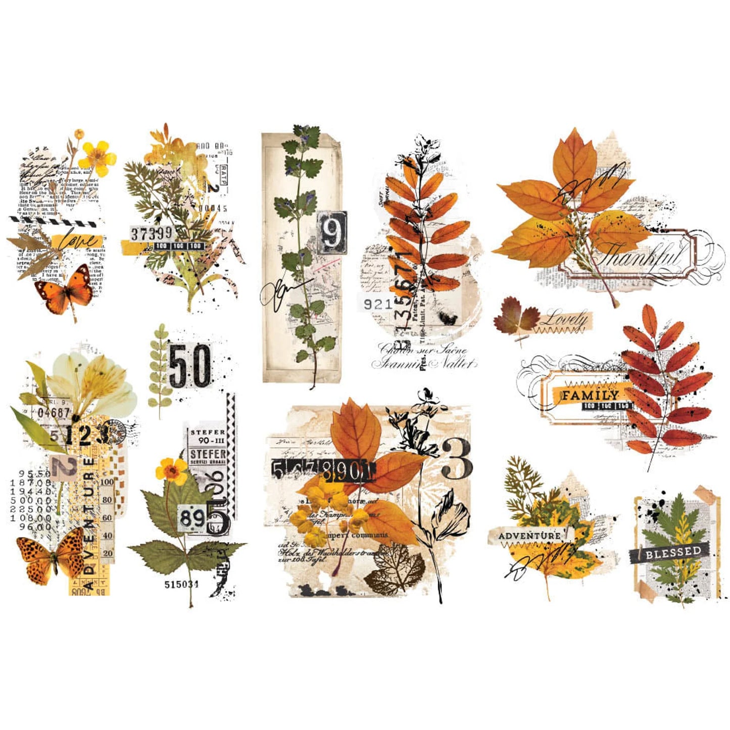 FOLIAGE COLLECTOR Furniture Transfer, Re-design with Prima, MINI Size, 3 sheets 6 x 12 ea