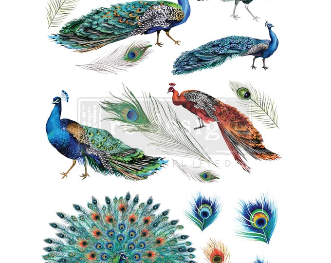 PEACOCK DREAMS, Furniture Transfer Decal by Re-Design with Prima, 26″X35″