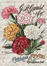 Carnation Catalog, Decoupage Queen Fiber Paper Size A3 (RETIRED)