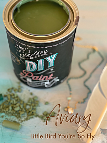 DIY Paint Aviary Plastic Free Paint, Non Toxic, No VOC's