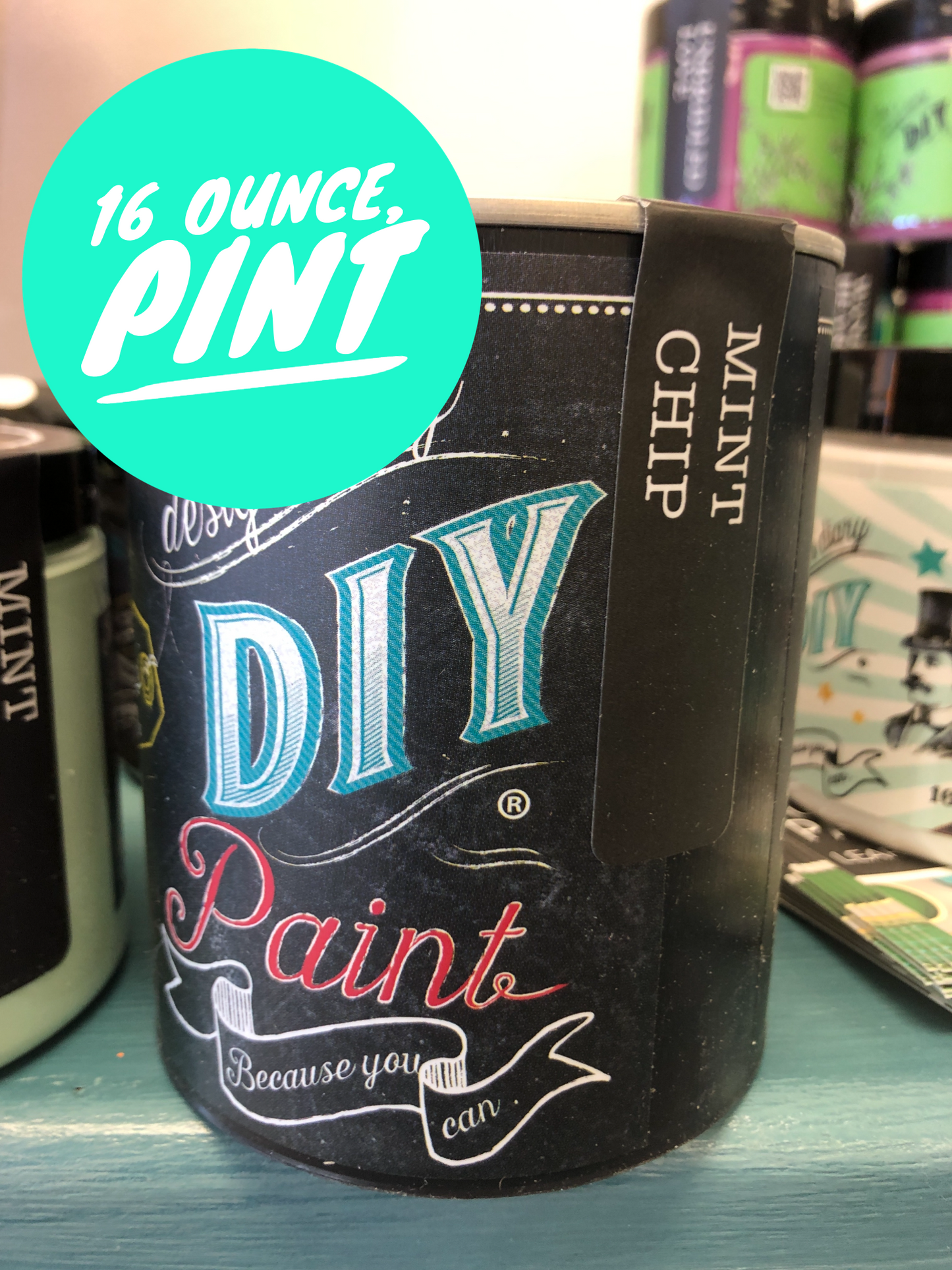DIY Paint Mint Chip Plastic Free Paint, Non Toxic, No VOC's