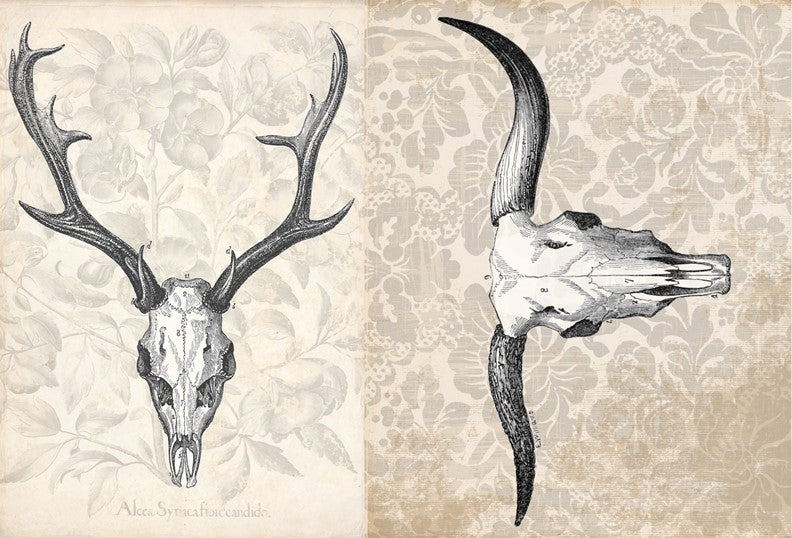 ANTLER PROJECT Decoupage Paper by Roycycled 20 x 30 inches