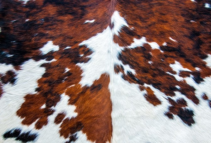 COWHIDE Decoupage Paper by Roycycled 20 x 30 inches