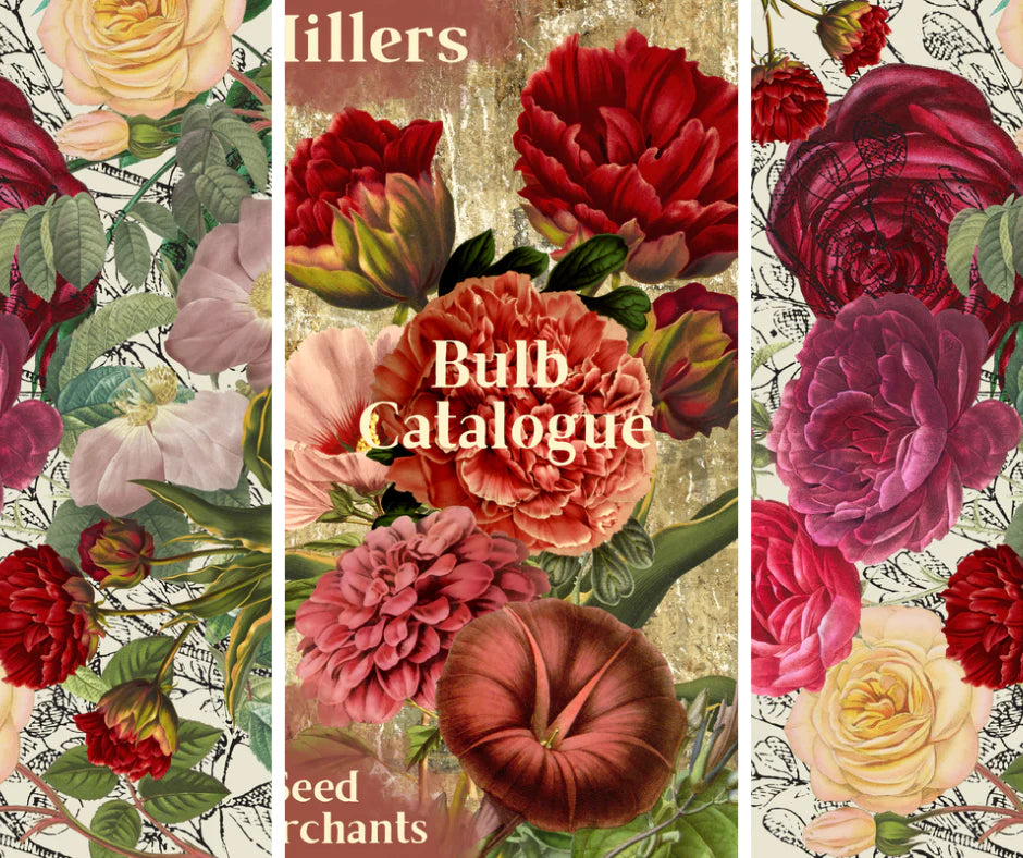 Roses R Red - Made by Marley, Decoupage Paper