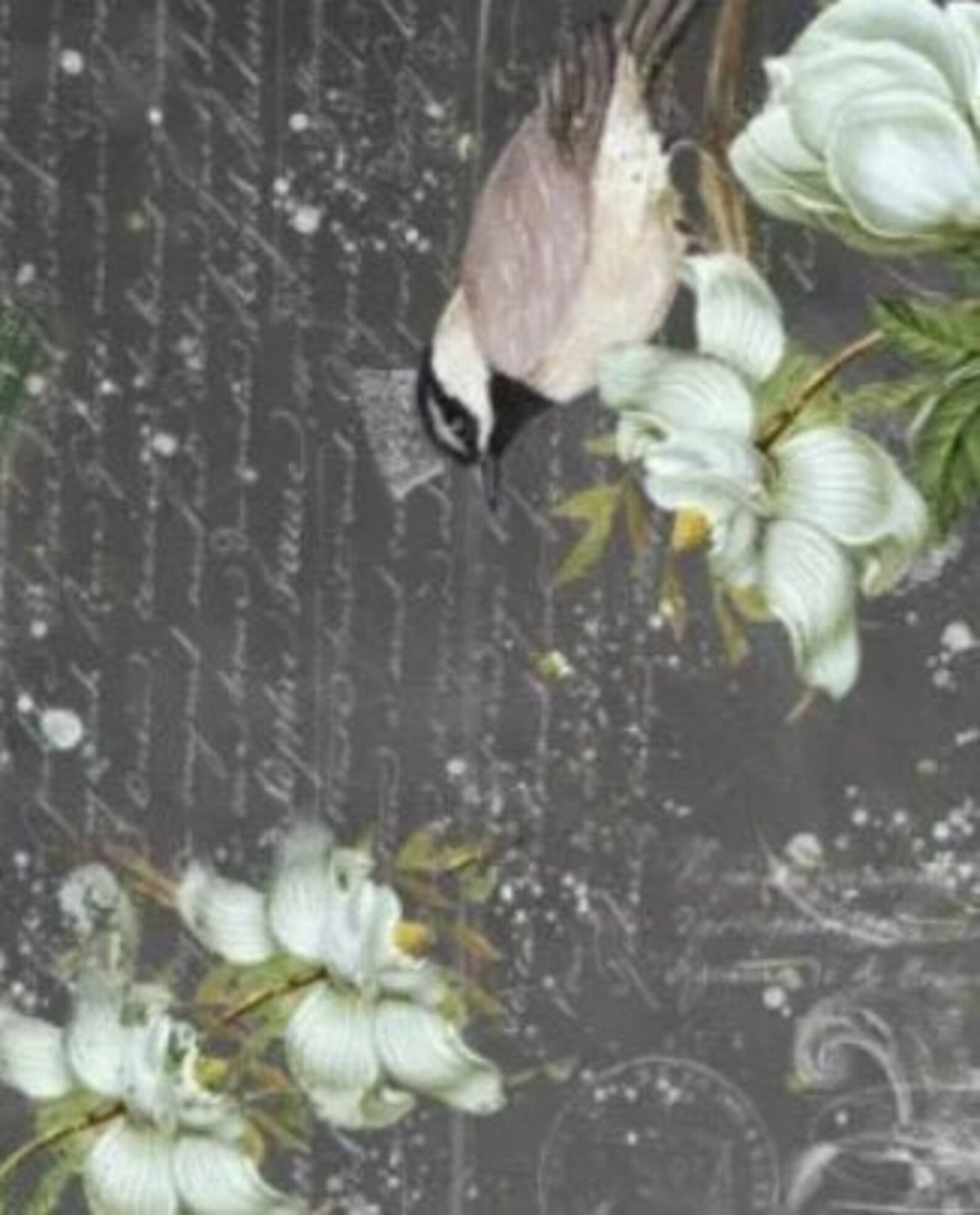 SUMMER BIRD Decoupage Paper by Roycycled 20 x 30 inches