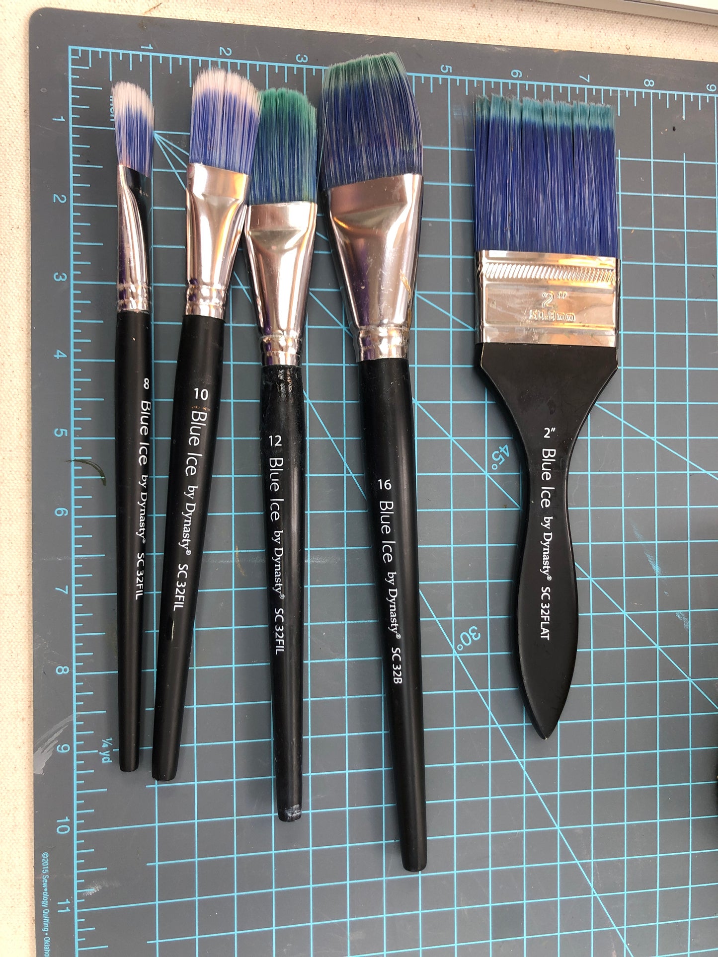 Blue Ice Brushes, Gently Used, Pre-Owned...Cleaning Out My Stash Value $69