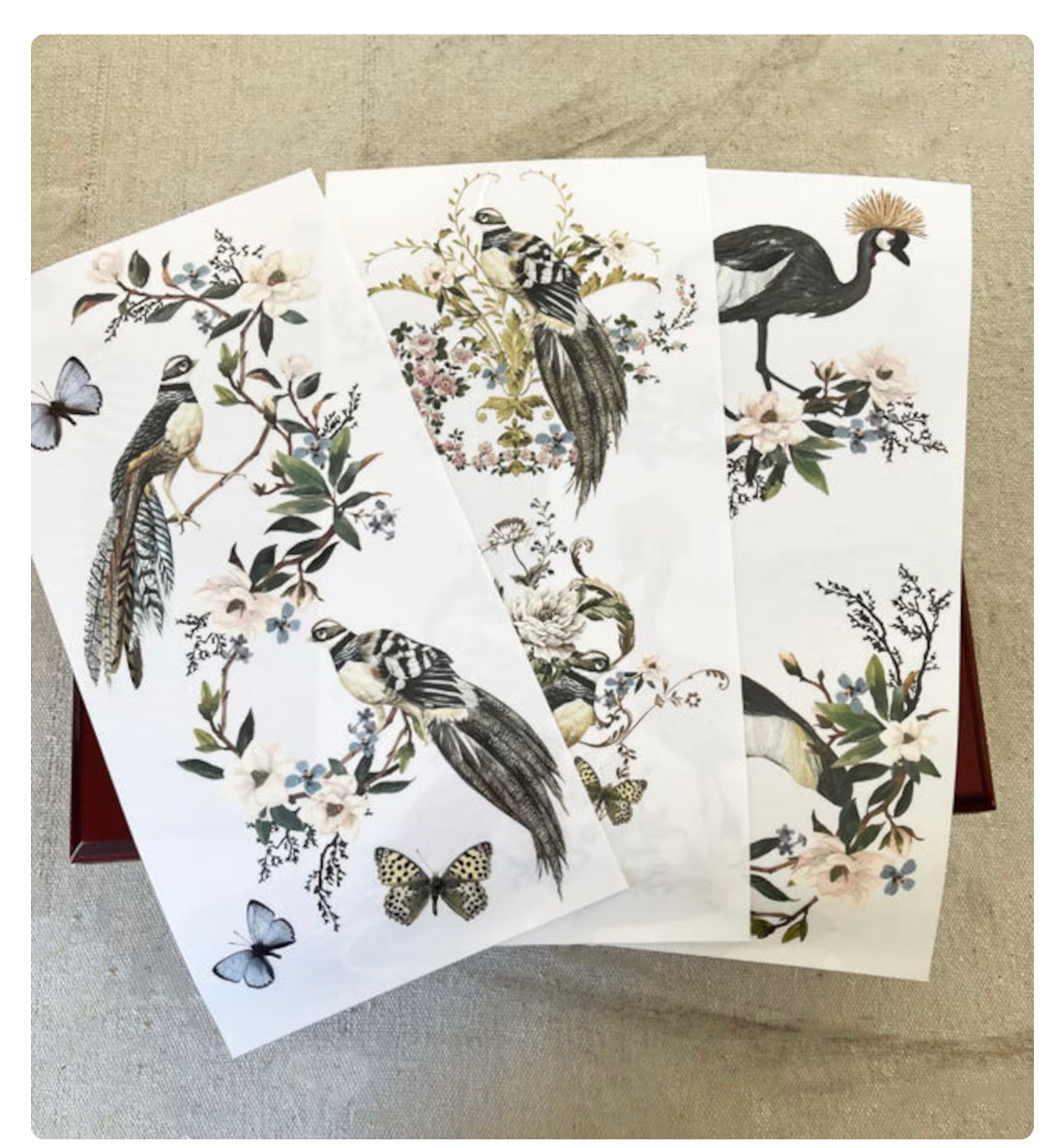 Rare Birds Furniture Transfers by Prima, 6 x 12 inches, 3 Sheets