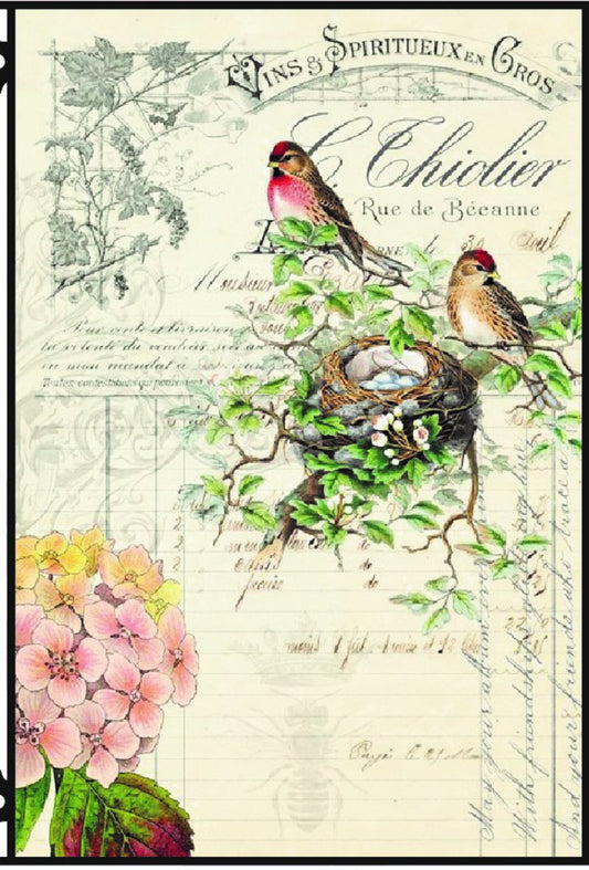 BIRD EPHEMERA Decoupage Paper by Roycycled 20 x 30 inches