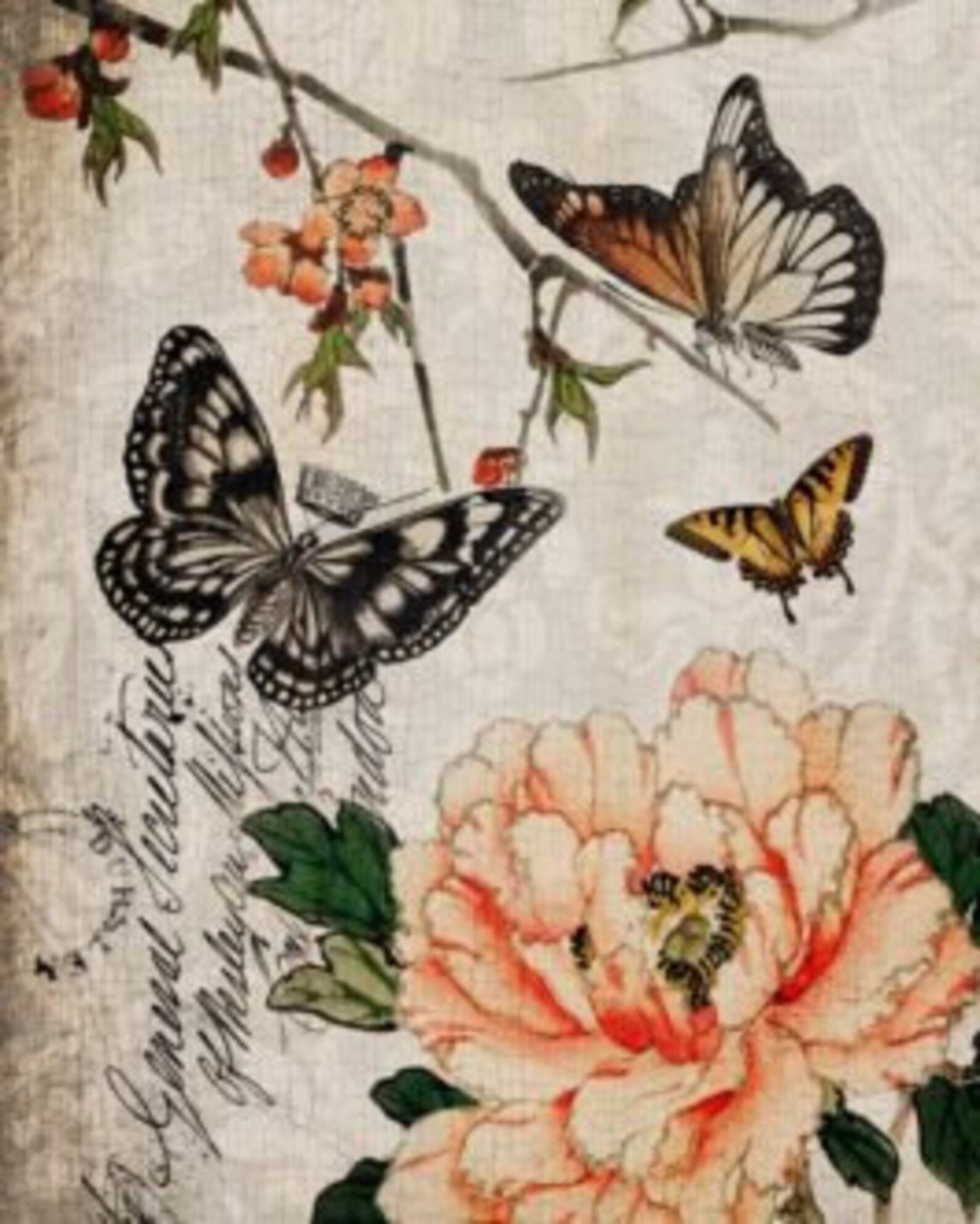 BUTTERFLY FLORAL Decoupage Paper by Roycycled 20 x 30 inches
