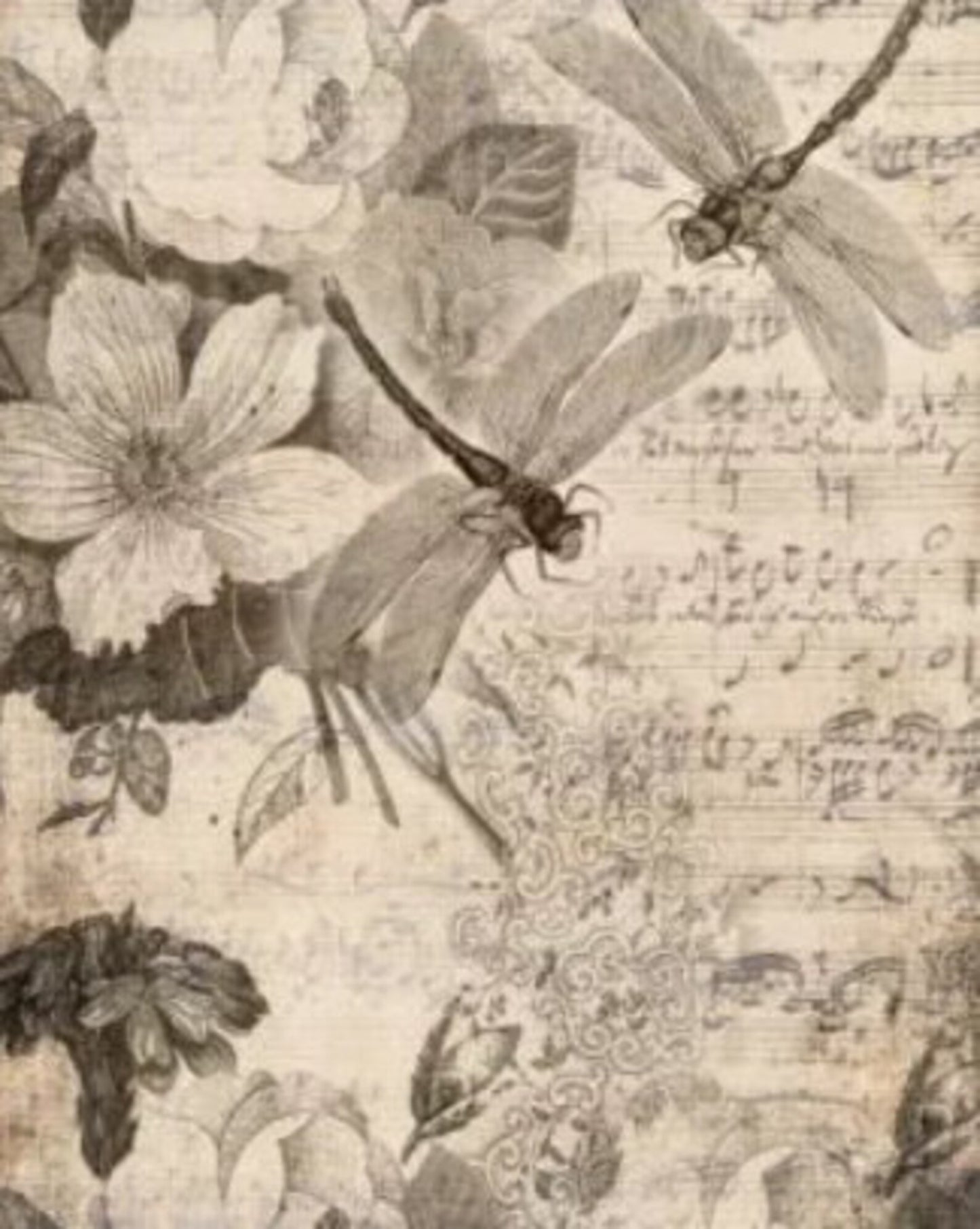 MUSICAL DRAGONFLIES Decoupage Paper by Roycycled 20 x 30 inches